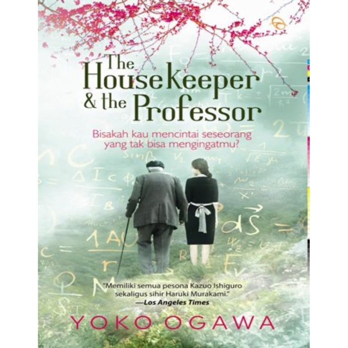 The housekeeper and the professor summary