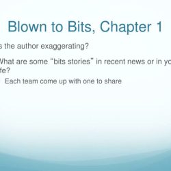 Blown to bits summary chapter 2