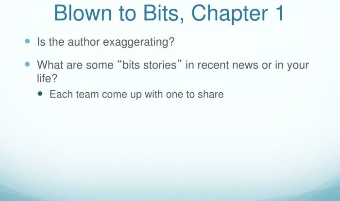 Blown to bits summary chapter 2