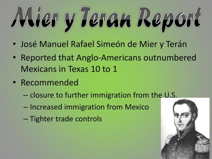 Mier y teran report picture