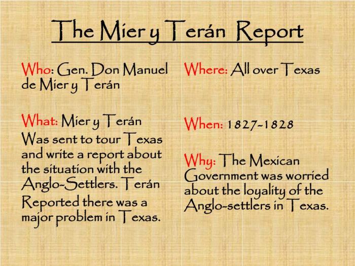 Mier y teran report picture