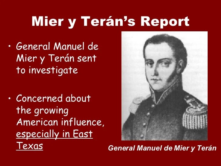 Mier y teran report picture